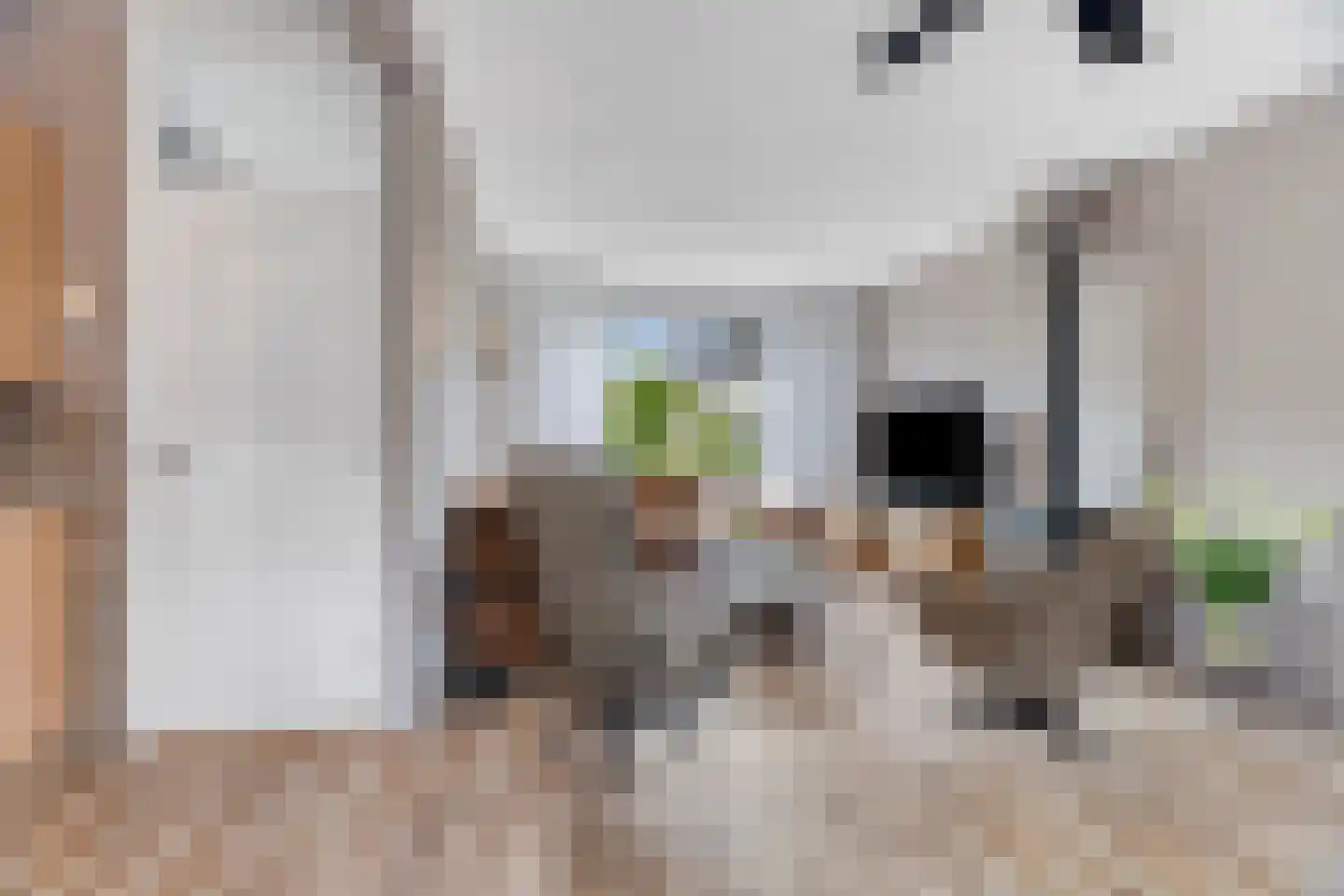 Johan Wagenaarplein 20 Dieren thumbnail 7