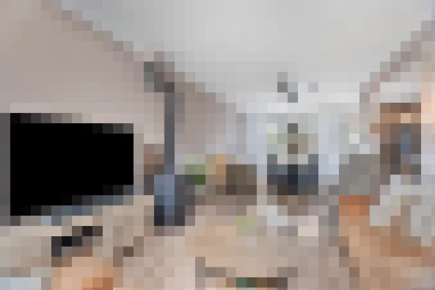 Johan Wagenaarplein 20 Dieren thumbnail 9