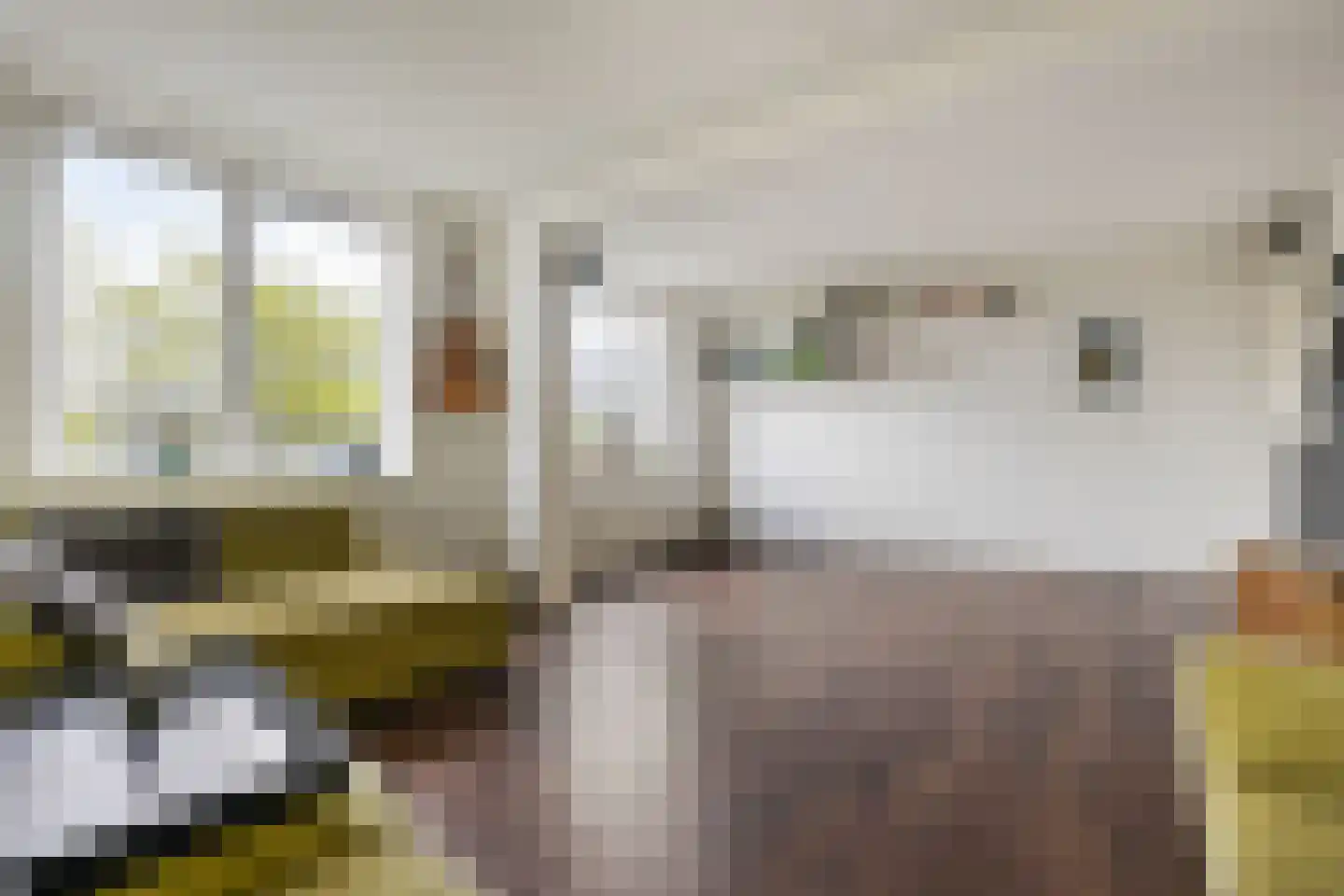 Johan Wagenaarring 29 Haarlem thumbnail 11