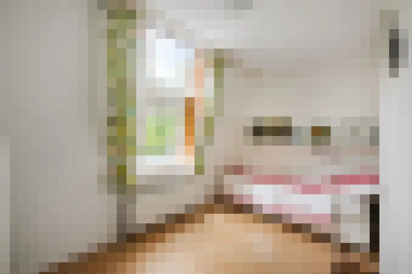 Johan Wagenaarring 29 Haarlem thumbnail 14