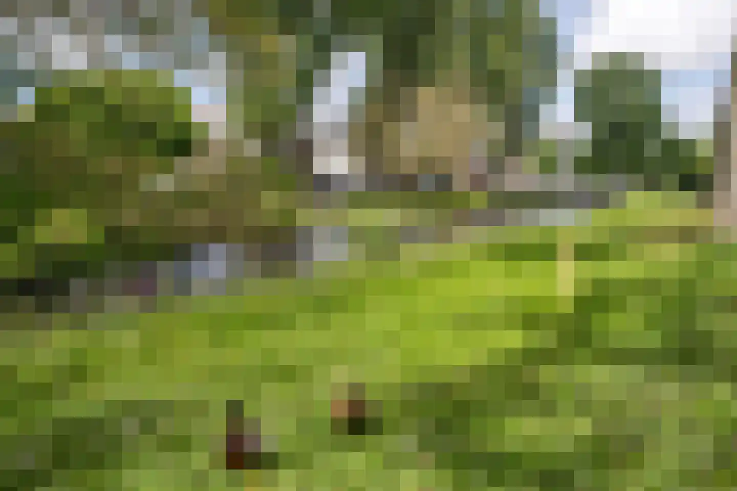 Johan Wagenaarring 29 Haarlem thumbnail 24