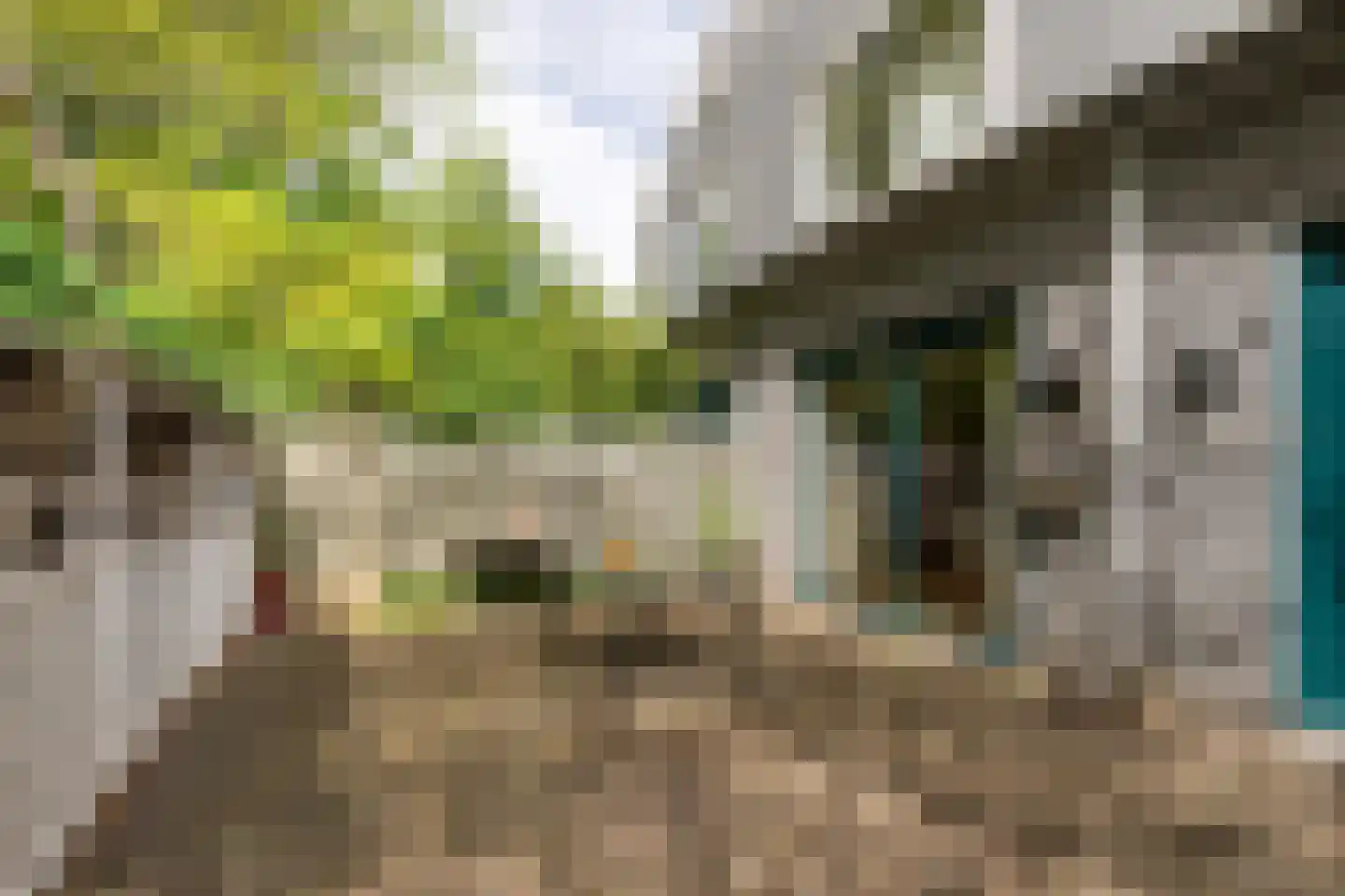 Johan Wagenaarring 29 Haarlem thumbnail 7
