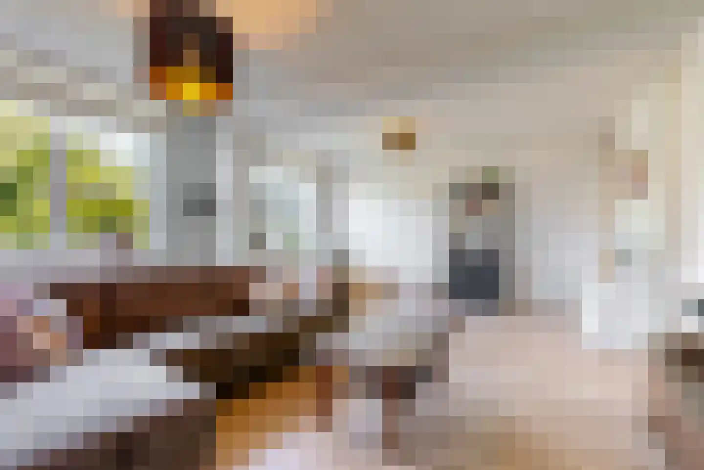 Johan Wagenaarring 31 Haarlem thumbnail 13
