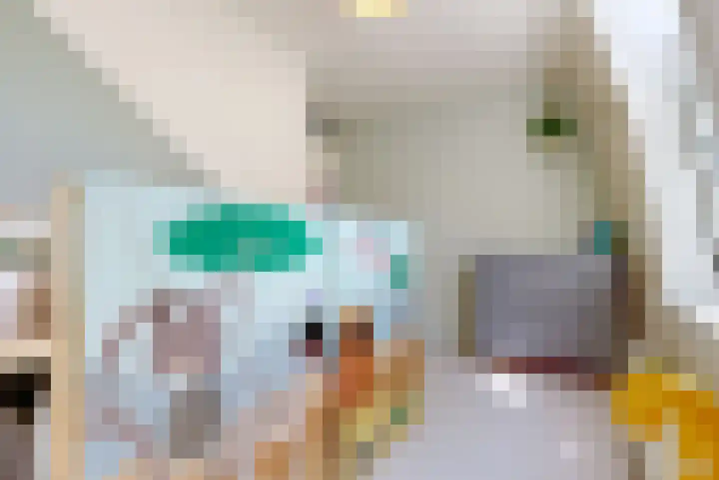 Johan Wagenaarring 31 Haarlem thumbnail 21