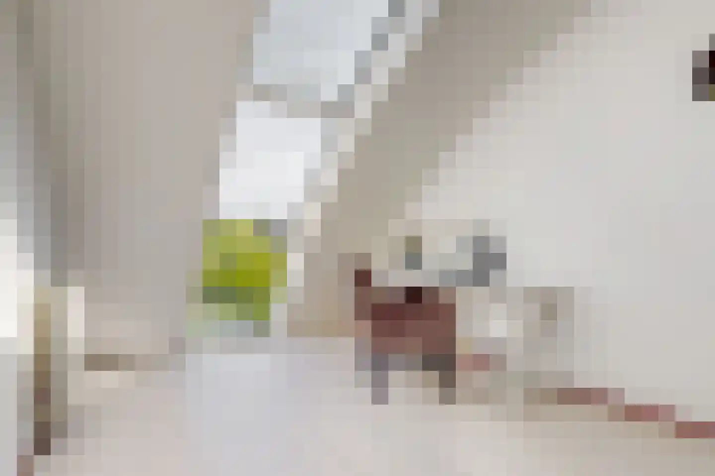 Johan Wagenaarring 31 Haarlem thumbnail 24