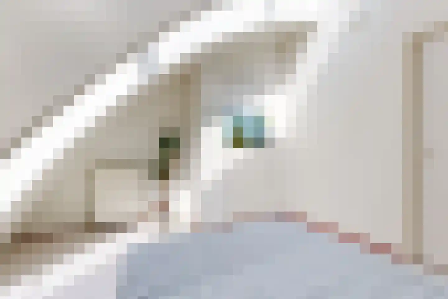 Johan Wagenaarring 31 Haarlem thumbnail 27
