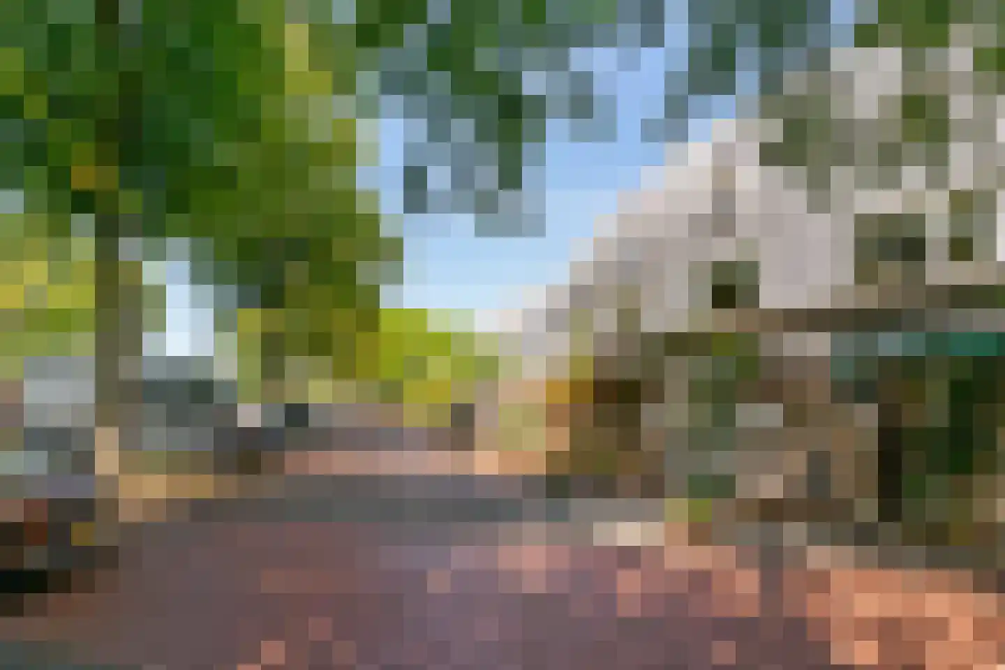 Johan Wagenaarring 31 Haarlem thumbnail 33