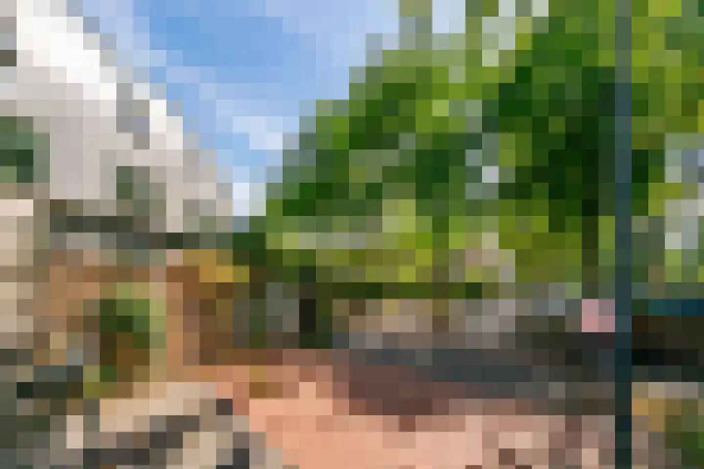 Johan Wagenaarring 31 Haarlem thumbnail 35