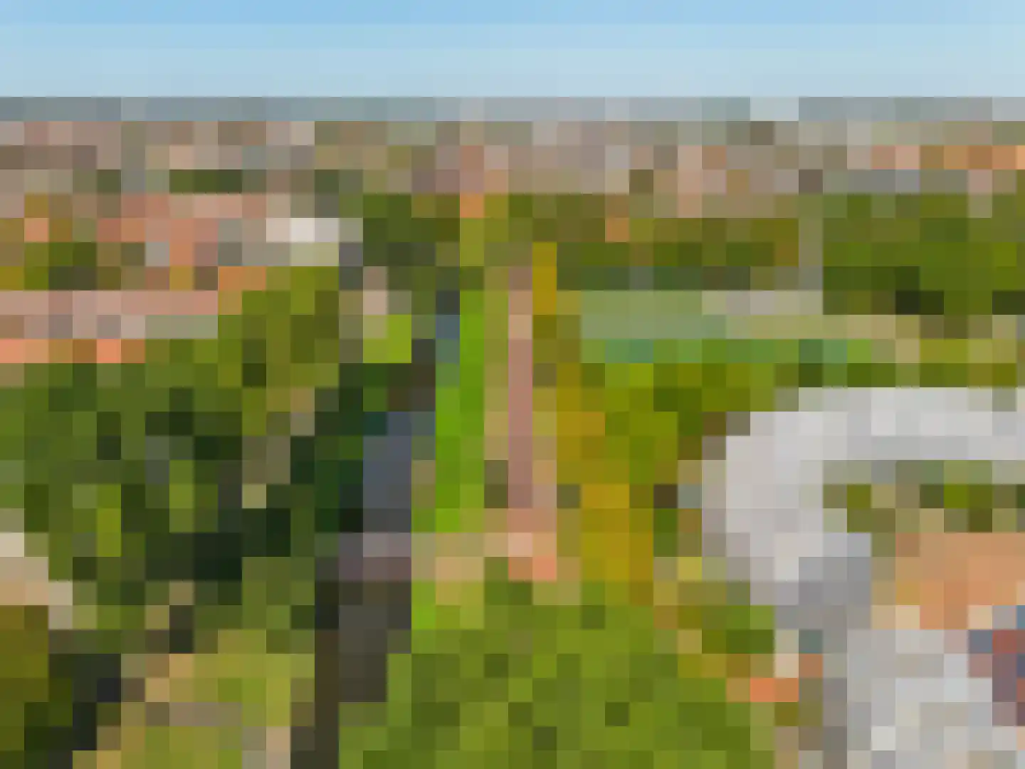 Johan Wagenaarring 31 Haarlem thumbnail 38