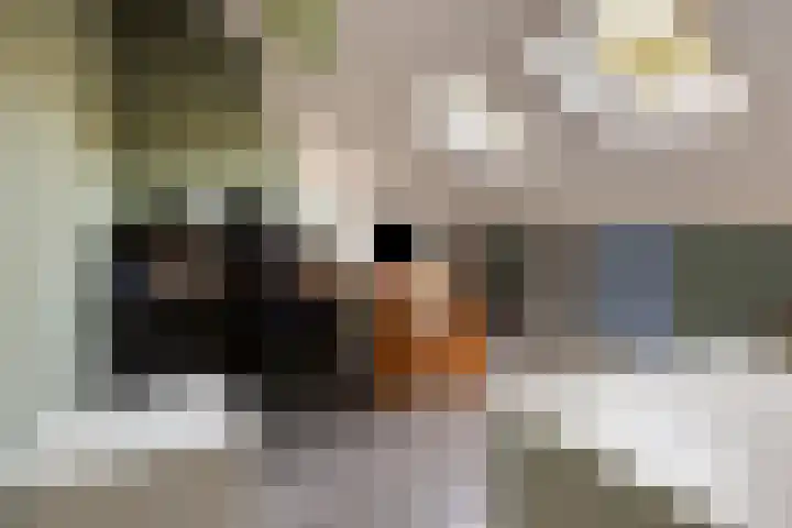 Johan Wagenaarstraat 16 D Amersfoort thumbnail 34