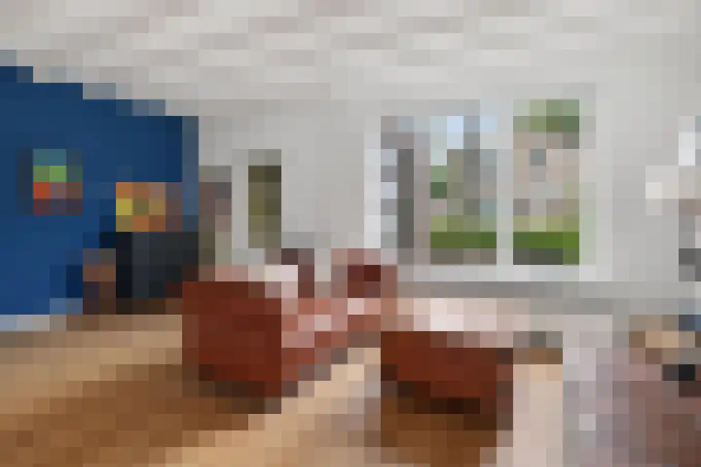 Johan Wagenaarstraat 2 Waalwijk thumbnail 11