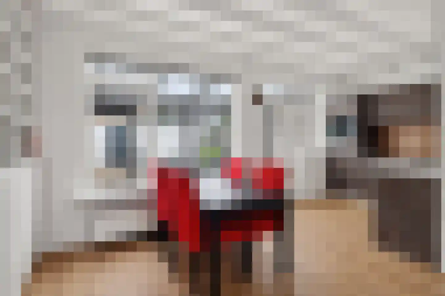 Johan Wagenaarstraat 2 Waalwijk thumbnail 13