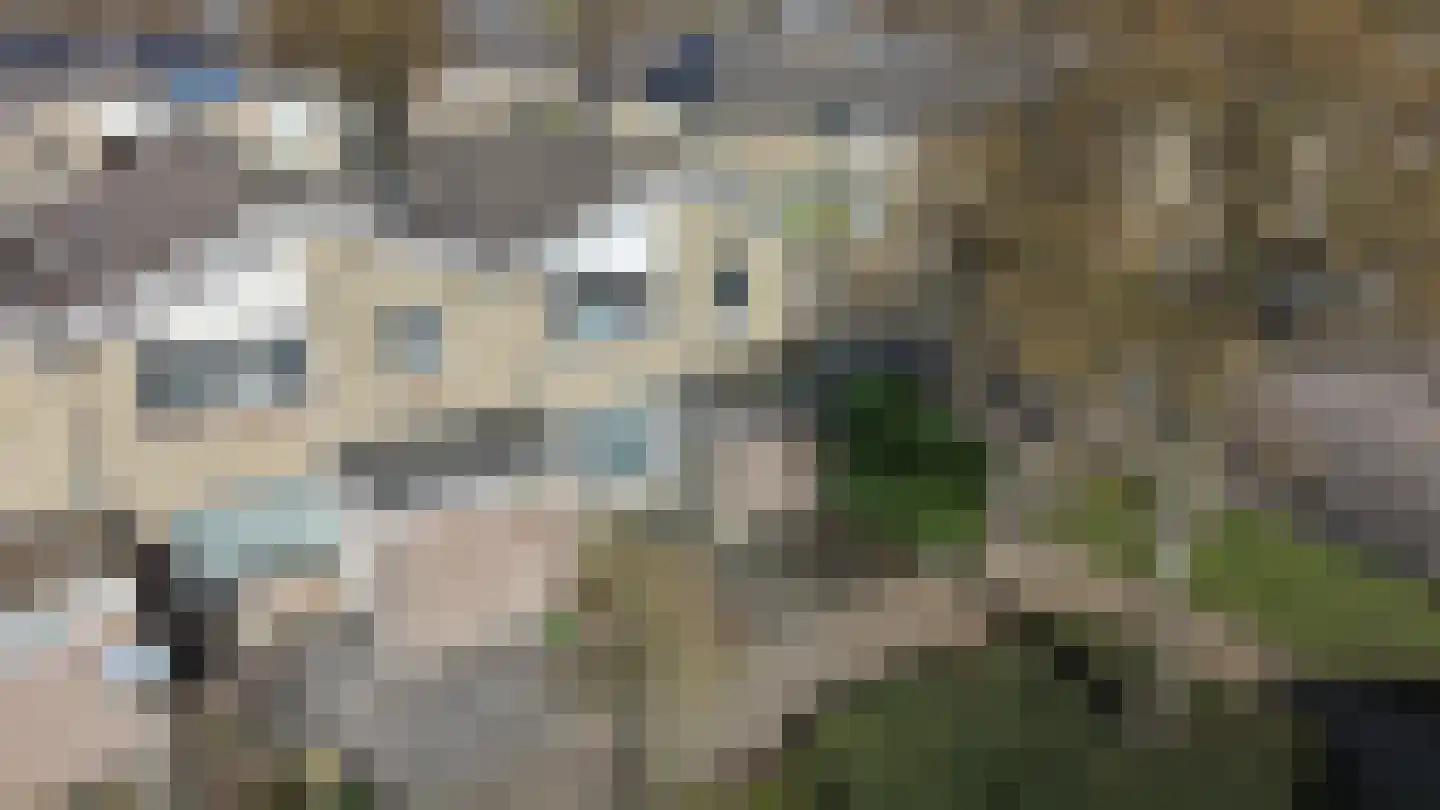 Johan Wagenaarstraat 2 Waalwijk thumbnail 32
