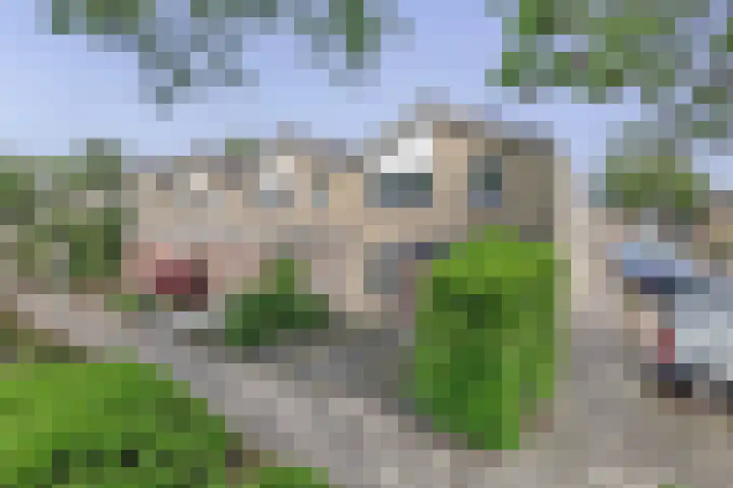 Johan Wagenaarstraat 2 Waalwijk thumbnail 5