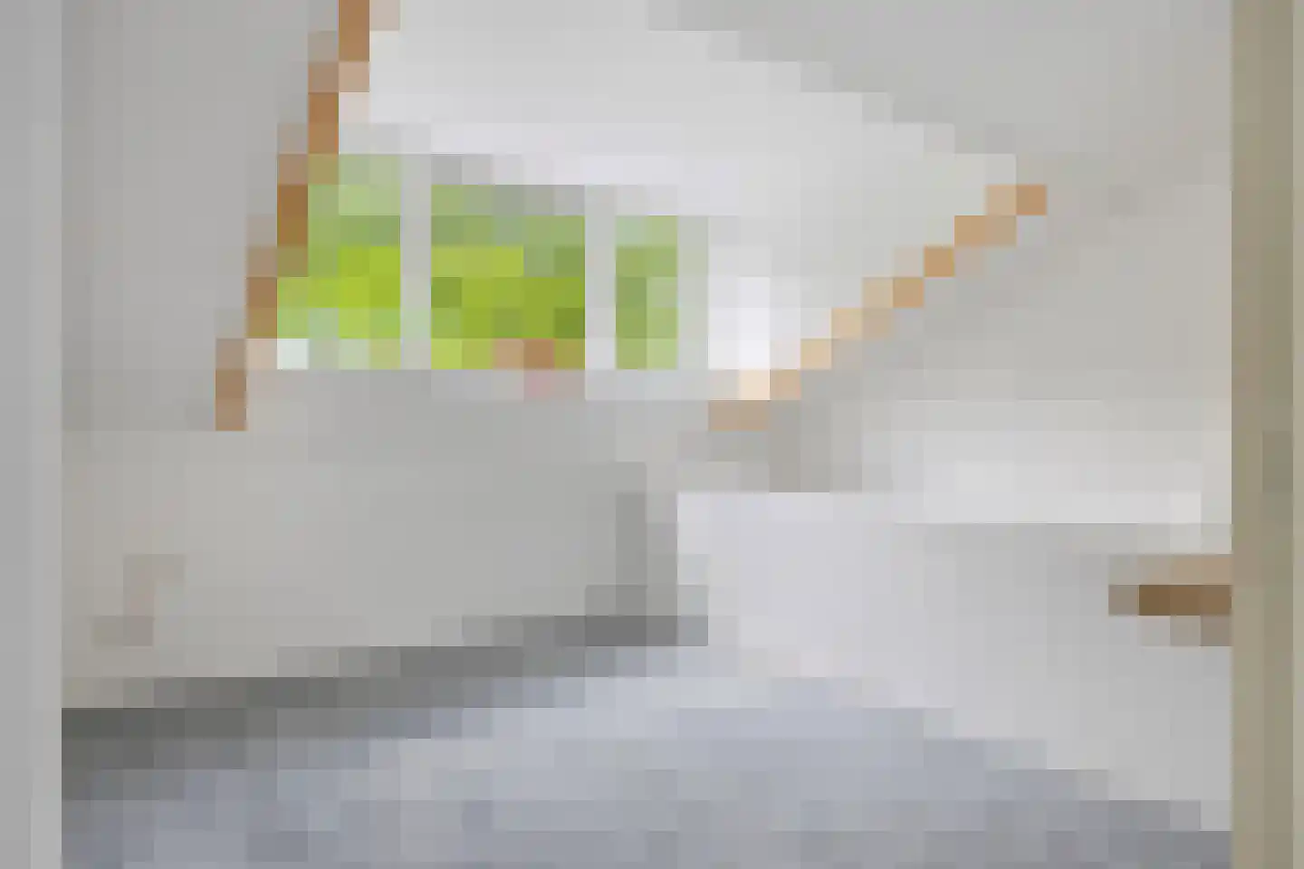 Johan Wagenaarstraat 22 E Amersfoort thumbnail 9