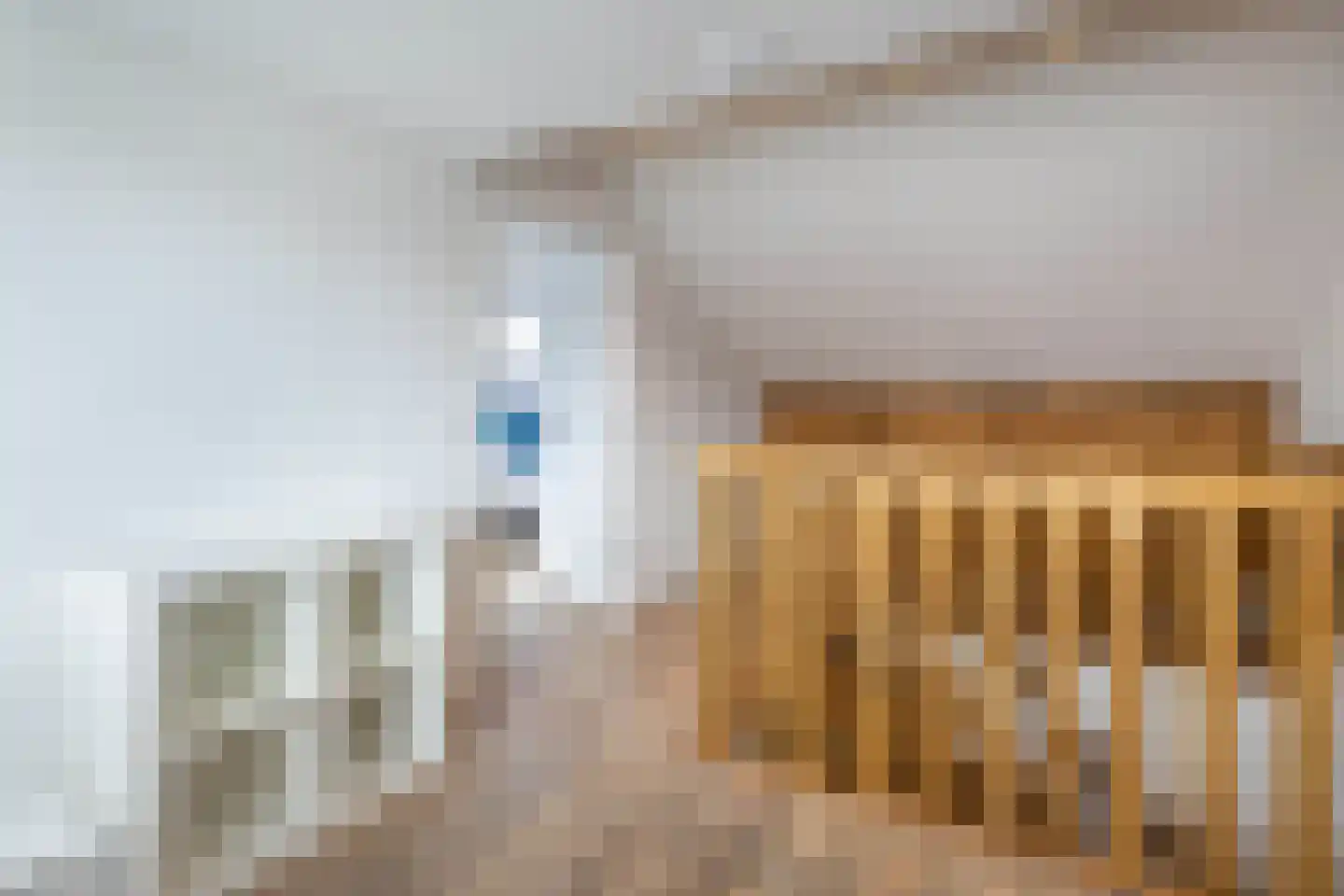 Johan Wagenaarstraat 3 Hengelo thumbnail 27
