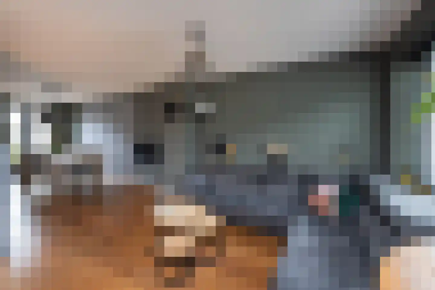 Johan Wagenaarstraat 3 Hengelo thumbnail 7