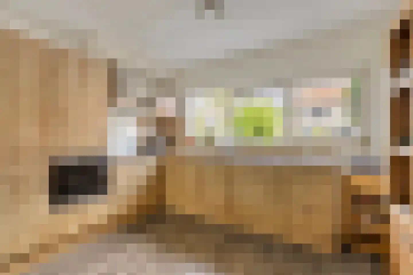Johan Wagenaarstraat 42 Purmerend thumbnail 12