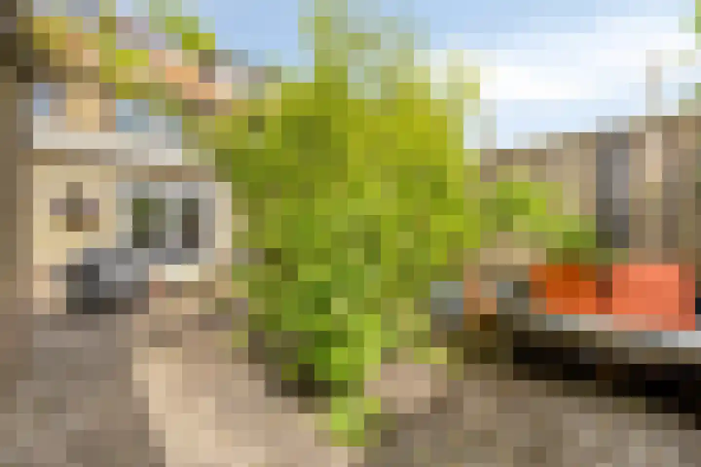 Johan Wagenaarstraat 42 Purmerend thumbnail 29
