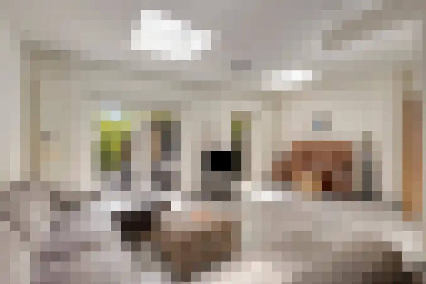 Johan Wagenaarstraat 42 Purmerend thumbnail 4