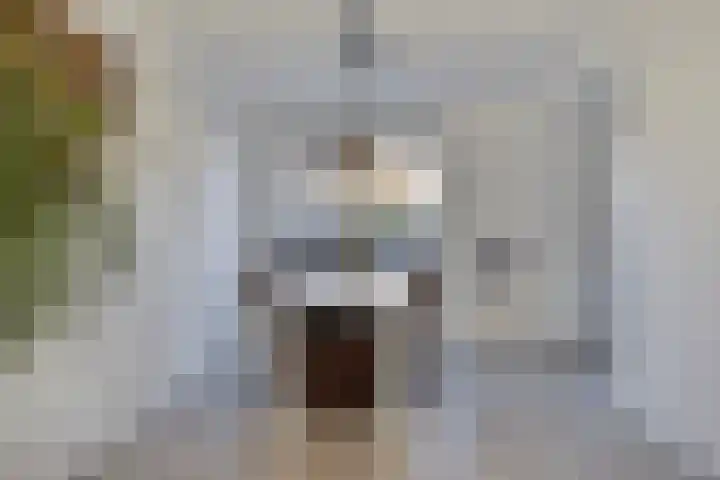 Johan Wagenaarstraat 5 Hengelo thumbnail 12