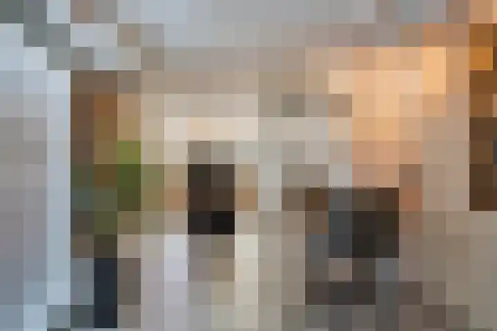 Johan Wagenaarstraat 5 Hengelo thumbnail 4