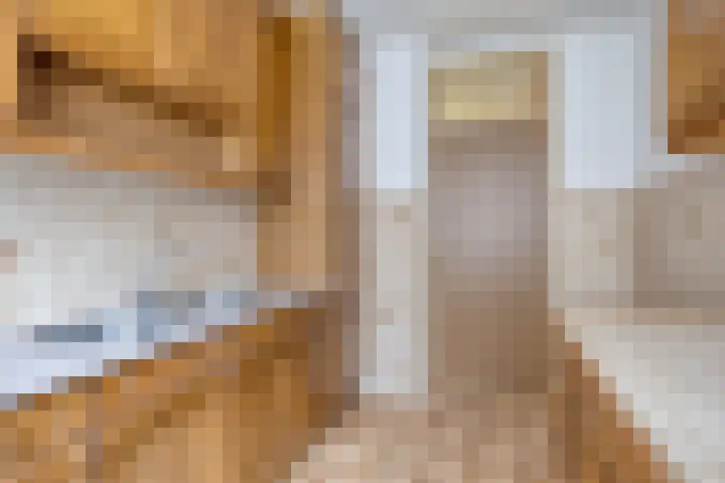 Johan Wagenaarstraat 5 Purmerend thumbnail 13