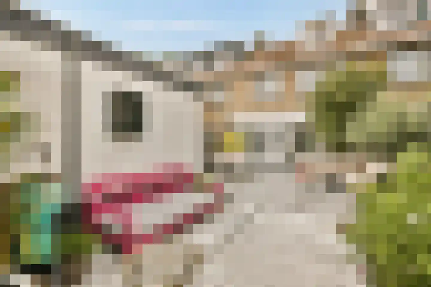 Johan Wagenaarstraat 55 Purmerend thumbnail 15