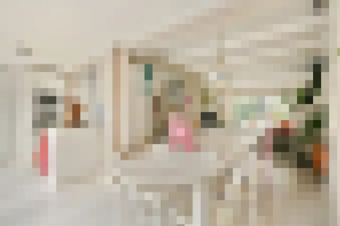 Johan Wagenaarstraat 55 Purmerend thumbnail 5