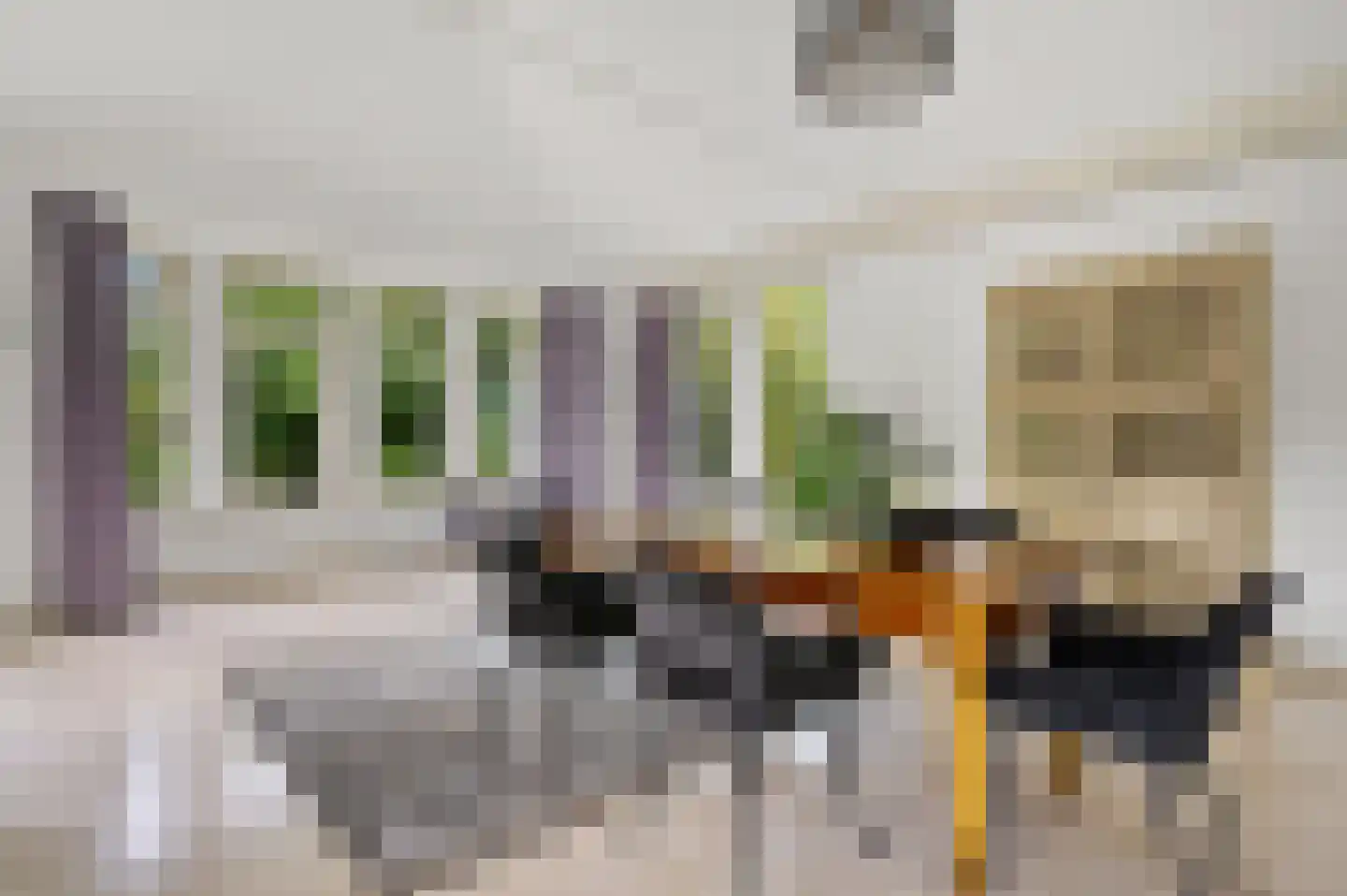 Johan Watelerpad 14 Den Haag thumbnail 18