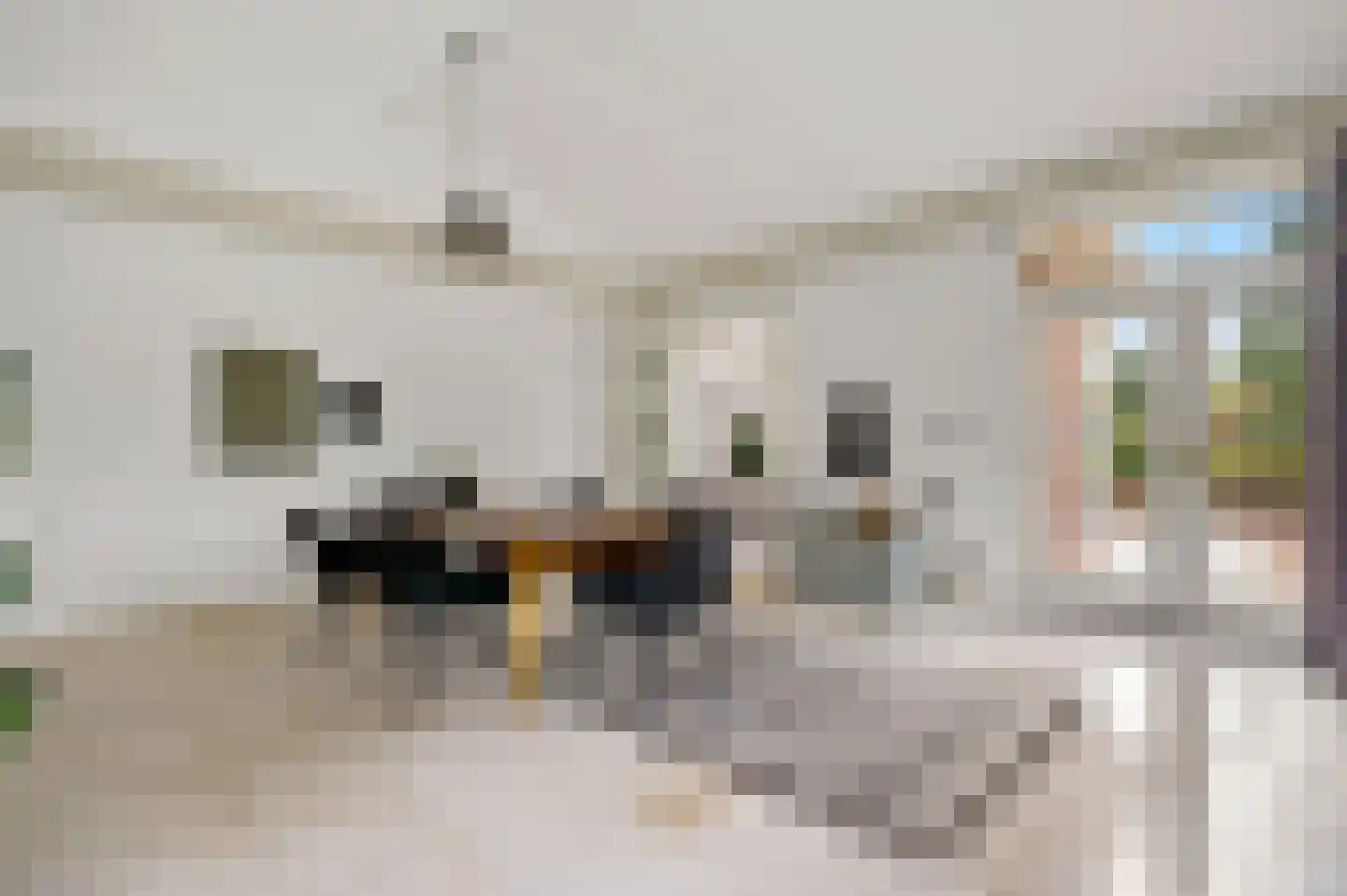 Johan Watelerpad 14 Den Haag thumbnail 19