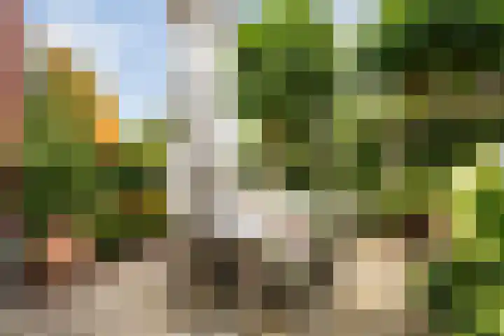 Johan Watelerpad 33 Den Haag thumbnail 11