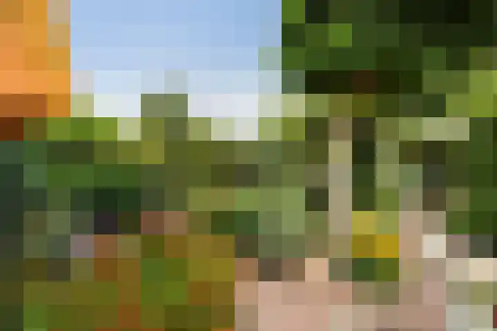Johan Watelerpad 33 Den Haag thumbnail 12