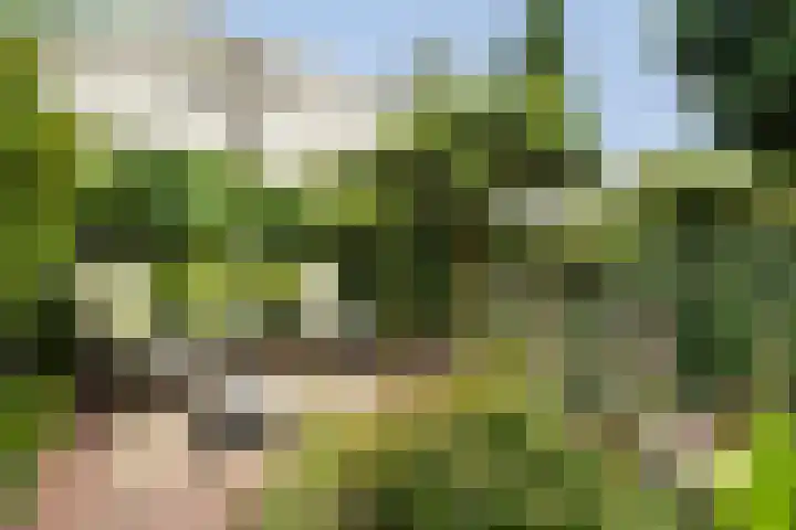 Johan Watelerpad 33 Den Haag thumbnail 13