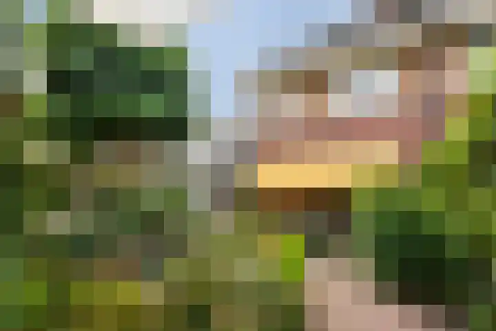 Johan Watelerpad 33 Den Haag thumbnail 16