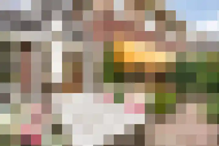 Johan Watelerpad 33 Den Haag thumbnail 17
