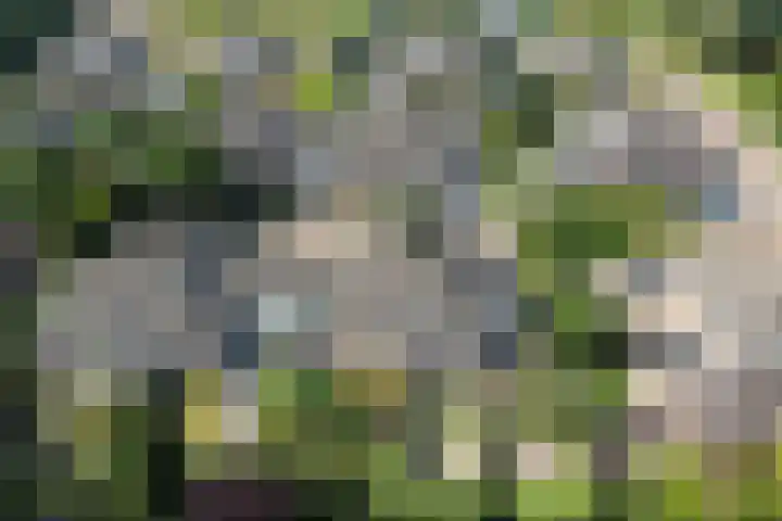 Johan Watelerpad 33 Den Haag thumbnail 18
