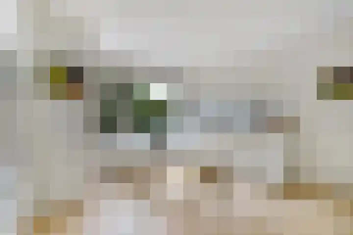 Johan Watelerpad 33 Den Haag thumbnail 20
