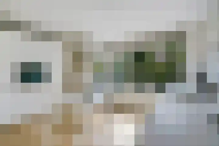 Johan Watelerpad 33 Den Haag thumbnail 22