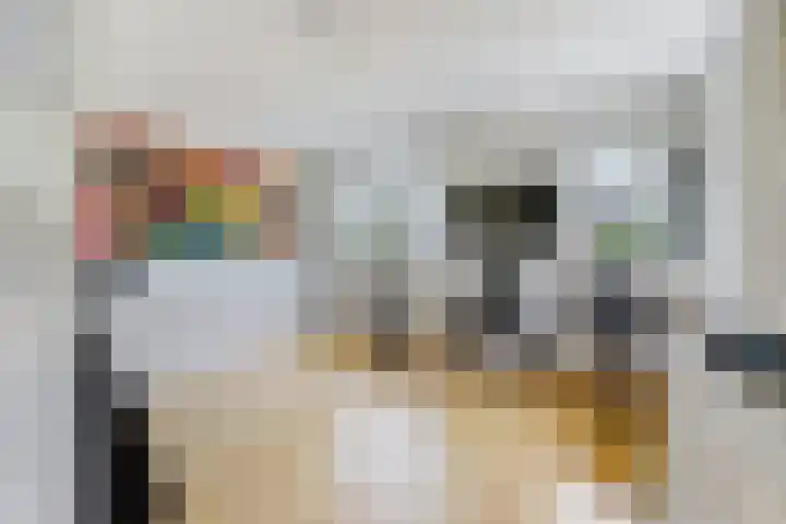 Johan Watelerpad 33 Den Haag thumbnail 29