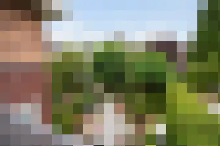 Johan Watelerpad 33 Den Haag thumbnail 38