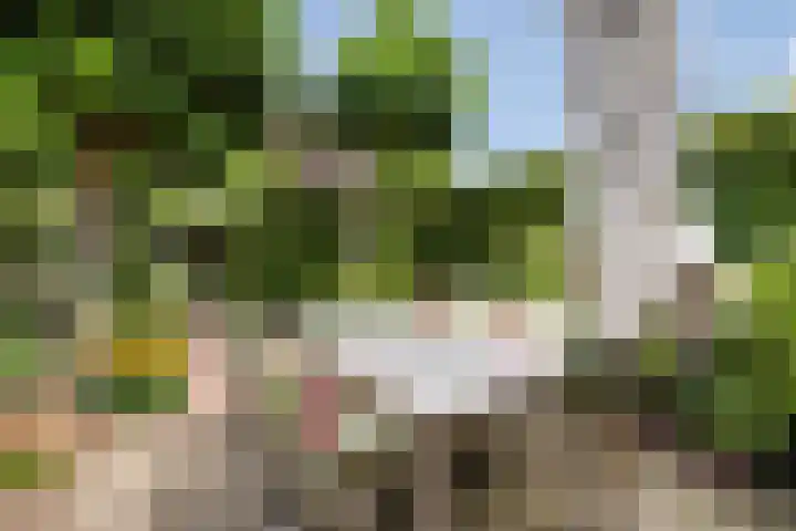 Johan Watelerpad 33 Den Haag thumbnail 4