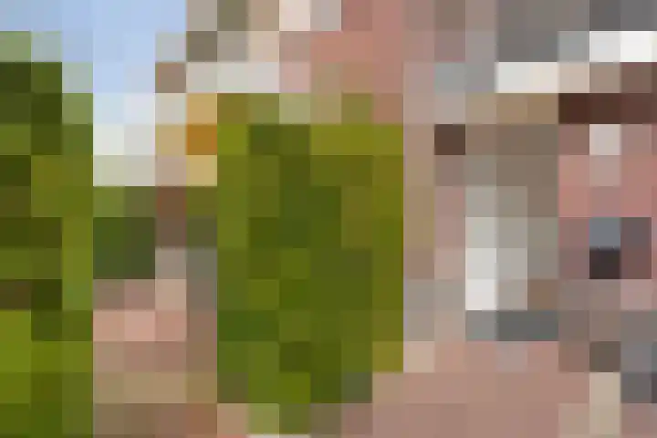 Johan Watelerpad 33 Den Haag thumbnail 53