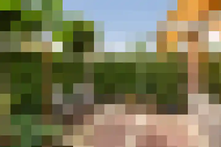 Johan Watelerpad 33 Den Haag thumbnail 54