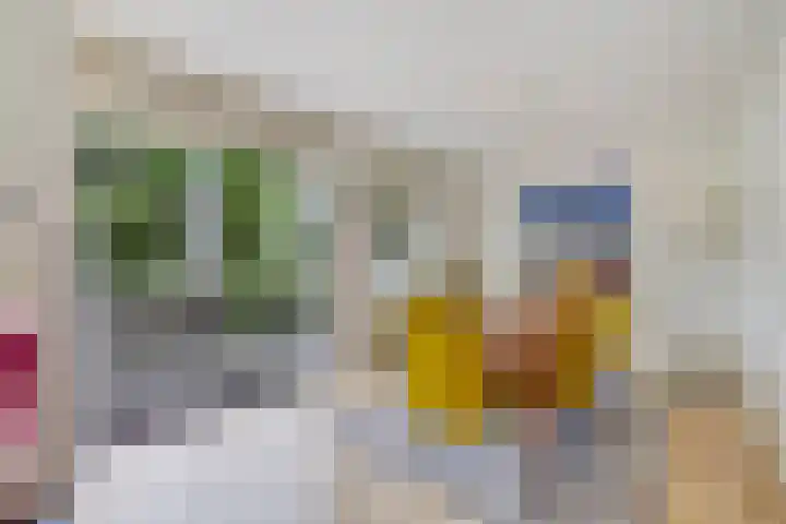 Johan Watelerpad 33 Den Haag thumbnail 9