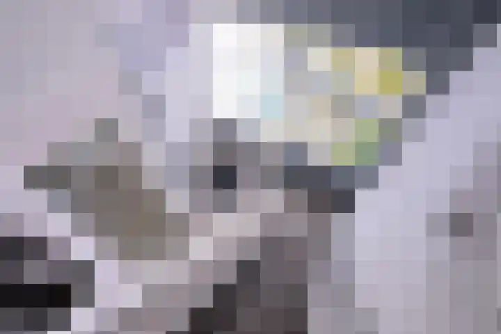 Johan Wensinkstraat 52 Deventer thumbnail 33