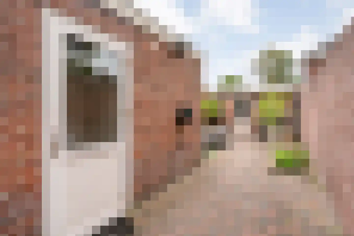 Johan Wijnoltsstraat 146 Enschede thumbnail 31