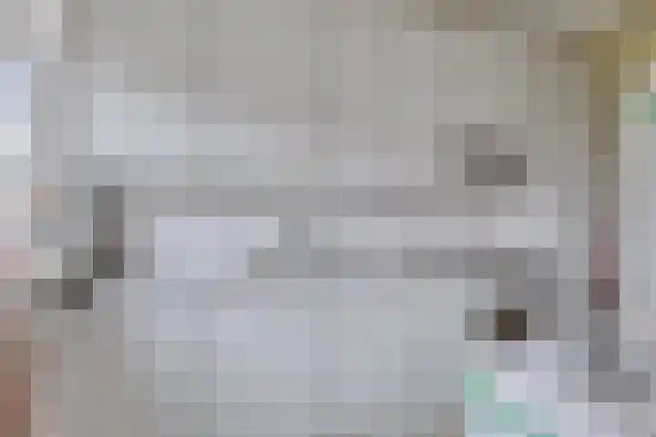Johan Wilhem Thibautstraat 11 Middelburg thumbnail 11