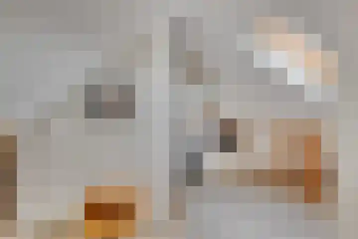 Johan Wilhem Thibautstraat 11 Middelburg thumbnail 27