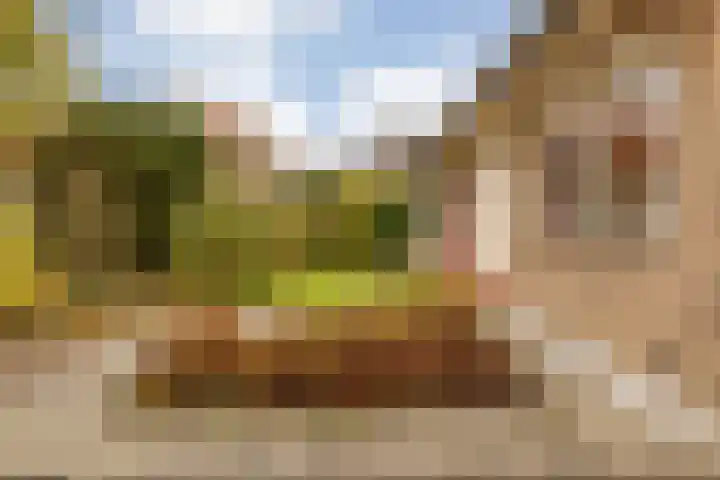 Johan Wilhem Thibautstraat 11 Middelburg thumbnail 36